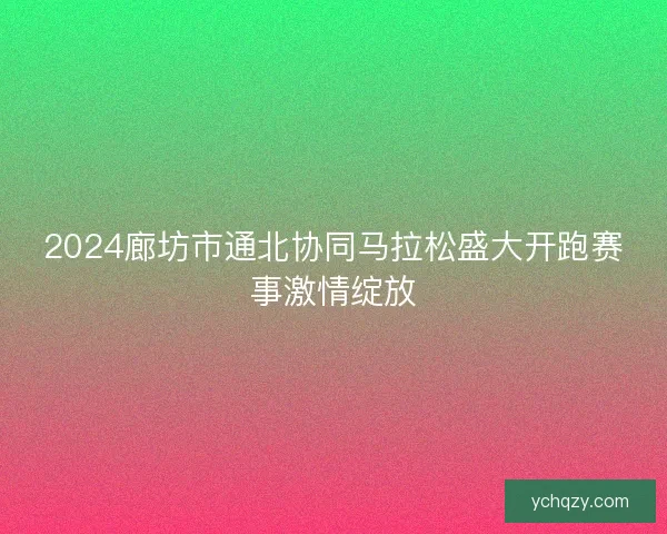 2024廊坊市通北协同马拉松盛大开跑赛事激情绽放